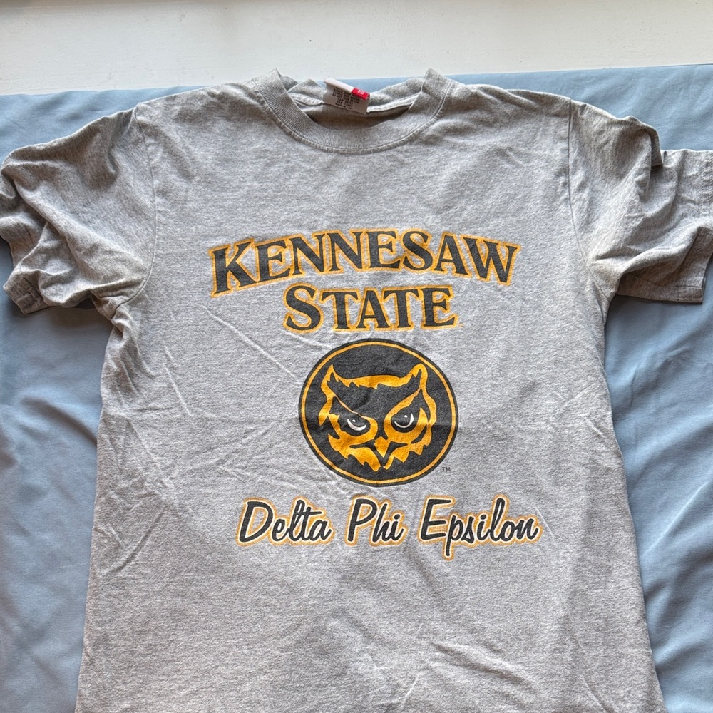Kennesaw State Delta Phi Epsilon Gray Graphic Tee